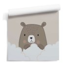 Cloudy Bear