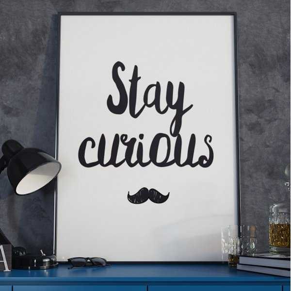 Stay curious - Plakat typograficzny Stay curious - Plakat typograficzny