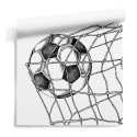 Football Goal