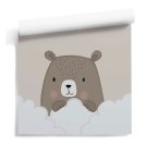 Cloud Bear