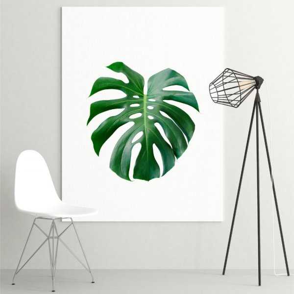 Obraz na płótnie - BIG MONSTERA Obraz na płótnie - BIG MONSTERA