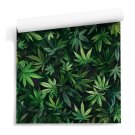 tapeta z liśćmi konopii