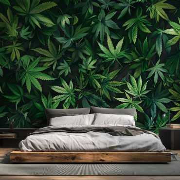 tapeta ścienna hemp leaves