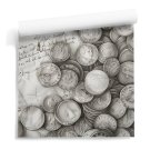 tapeta ścienna w monety