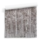 tapeta na ścianę w las brzozowy