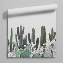 tapeta cactus landscape