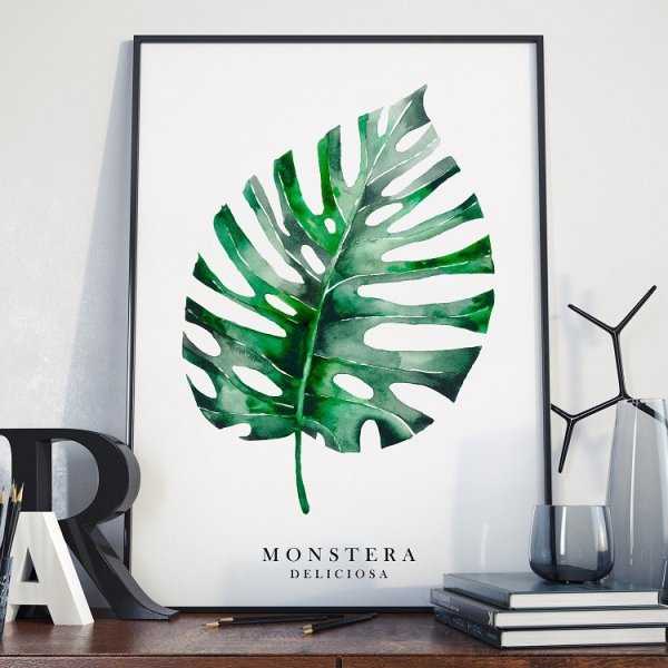 MONSTERA - Plakat w ramie MONSTERA - Plakat w ramie