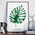 MONSTERA - Plakat w ramie MONSTERA - Plakat w ramie