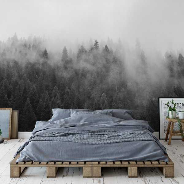 Tapeta Scienna Z Zamglonym Lasem Forest Design